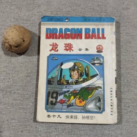 龙珠全集 卷19