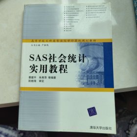 高等学校文科类专业大学计算机规划教材：SAS社会统计实用教程