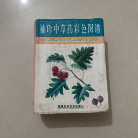 袖珍中草药彩色图谱