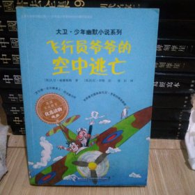 飞行员爷爷的空中逃亡/大卫·少年幽默小说系列