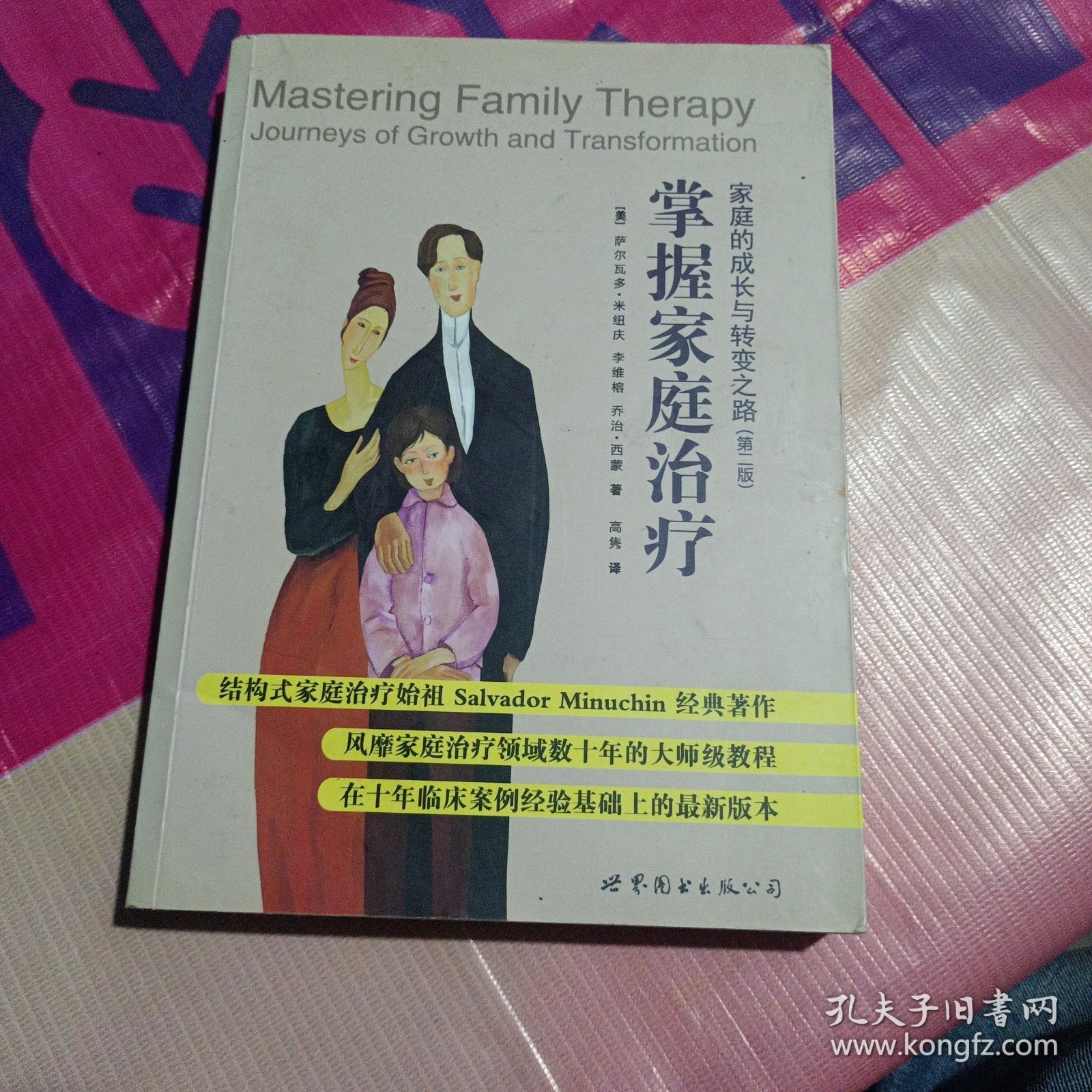 掌握家庭治疗：家庭的成长与转变之路（第2版）