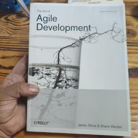 The Art of Agile Development Z