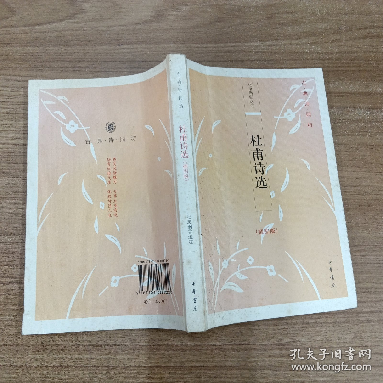 杜甫诗选：古典诗词坊