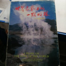 世界屋屋脊上的一顆明珠--------羊八井地?zé)嵩囼?yàn)電站