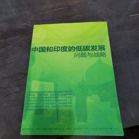 中国和印度的低碳发展问题与战略。