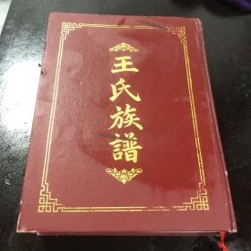 王氏族譜 大鐘坪 遂寧 安居