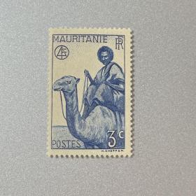 毛里塔尼亚-骑骆驼的土著