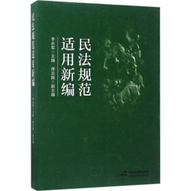 民法规范适用新编