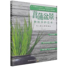 菖蒲盆景种植养护艺术：文人案头清供雅玩