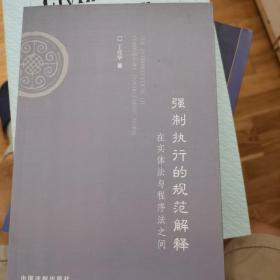 强制执行的规范解释：在实体法与程序法之间