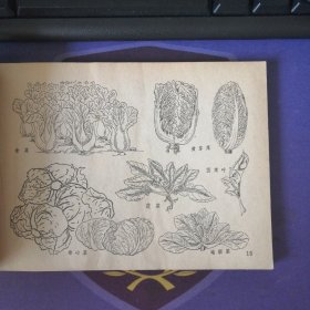 《农林牧副渔美术参考资料》 插图本(1979年3月)1 版1印 上海人民美术出 (私藏)