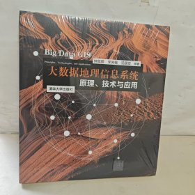 大数据地理信息系统：原理、技术与应用 全新未开封