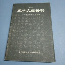 咸宁文史资料（第五辑）：汀泗桥贺胜桥战役专辑