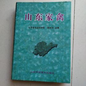 山东家禽