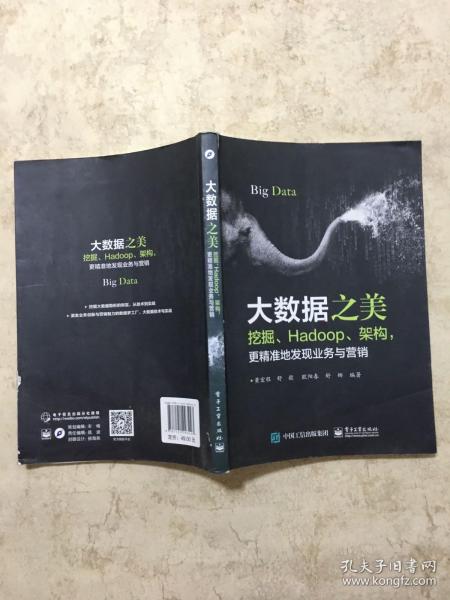 大数据之美：挖掘、Hadoop、架构，更精准地发现业务与营销