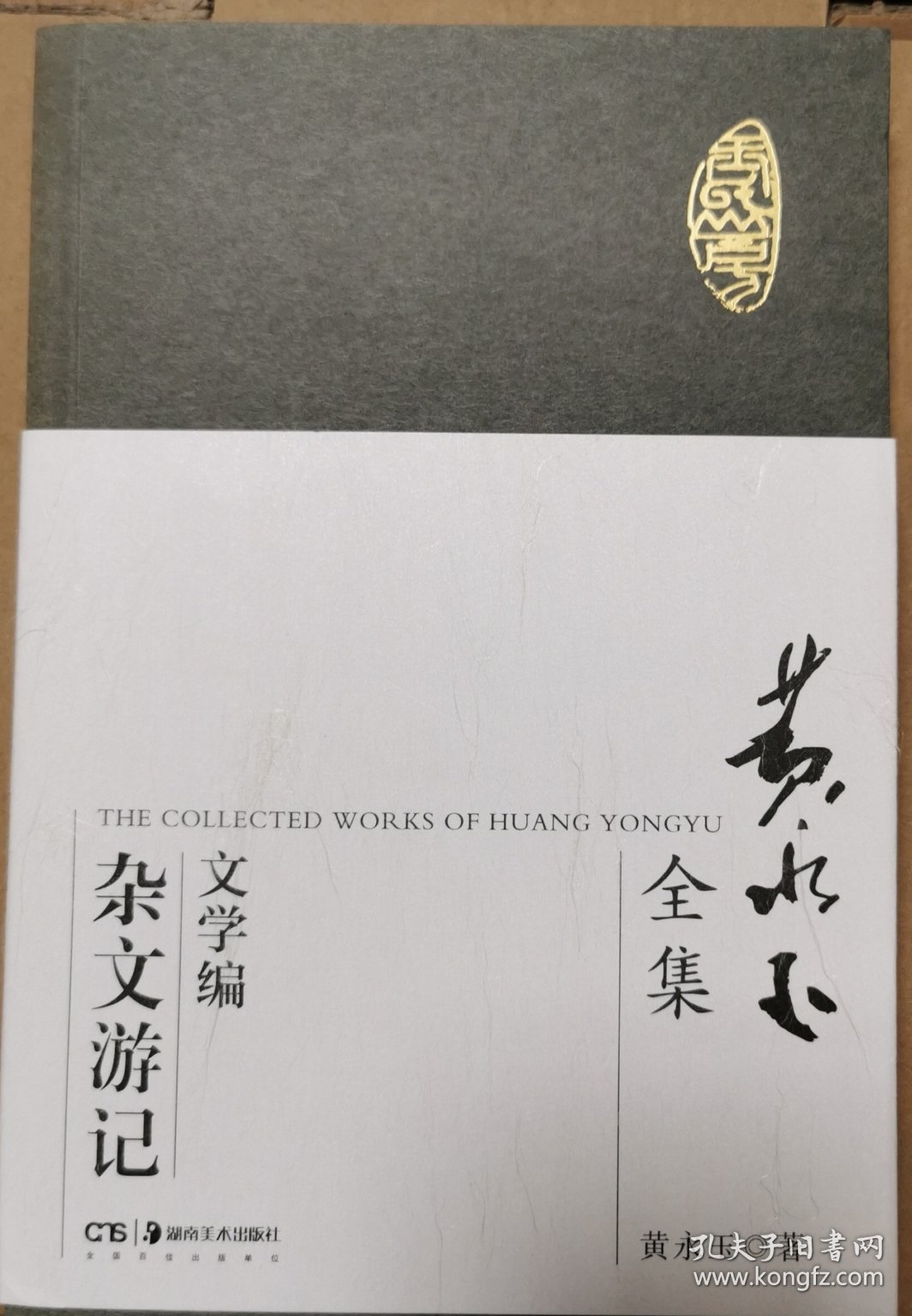 黄永玉全集·文学编：杂文游记