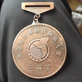 北京青少年科技创新大赛三等奖奖章90x60毫米
