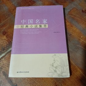 中国名家经典小说集萃.