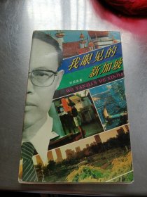 我眼见的新加坡