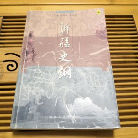 新疆史纲