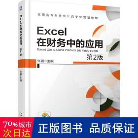 Excel在财务中的应用（第2版）