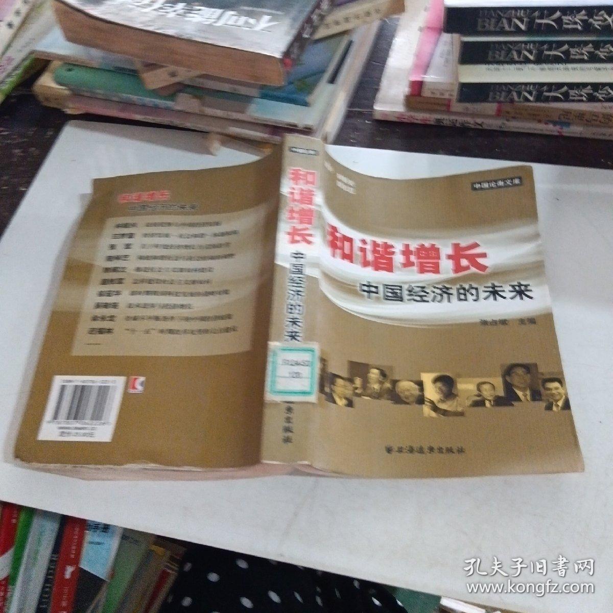 和谐增长：中国经济的未来