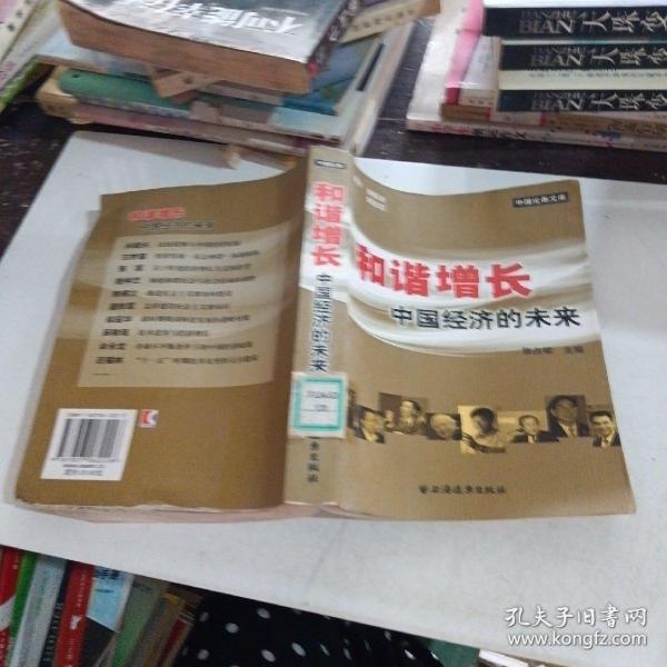 和谐增长：中国经济的未来