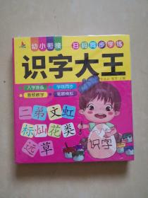 识字大王 幼小衔接 扫码同步学练 学前识字教育