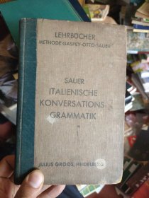 意大利语 sauer italienische konversations grammatik 意大利语对话语法