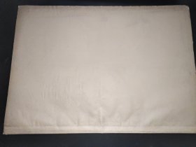 宁夏日报  1965年3月