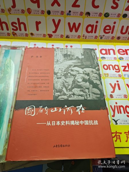 国破山河在：从日本史料揭秘中国抗战