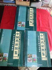 中国药材图鉴:中药材及混伪品鉴别1～3卷
