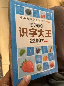 幼儿学前识字大王2280字（套装全6册）