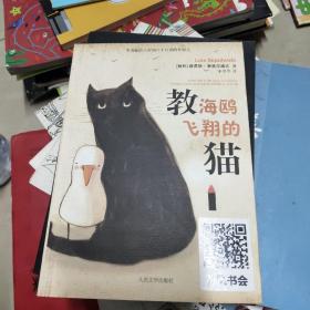 教海鸥飞翔的猫