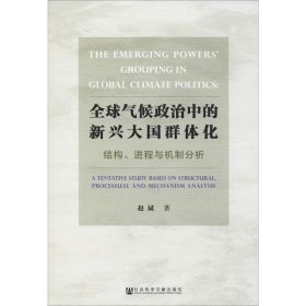 全球气候政治中的新兴大国群体化——结构、进程与机制分析