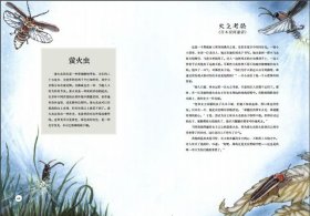 动物在哪里：昆虫和爬行动物的传说[挪威]，莉娜·伦斯勒布拉滕9787020168712