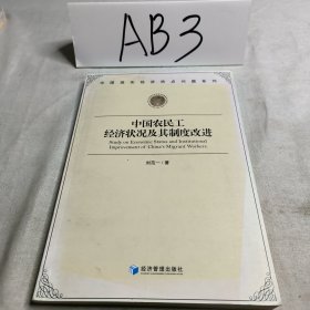 中國現(xiàn)實經(jīng)濟熱點問題系列：中國農(nóng)民工經(jīng)濟狀況及其制度改進