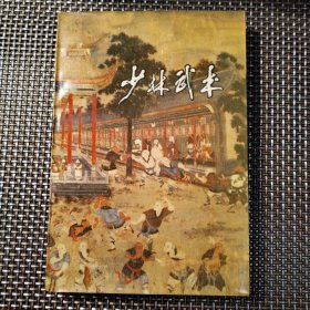 少林武术