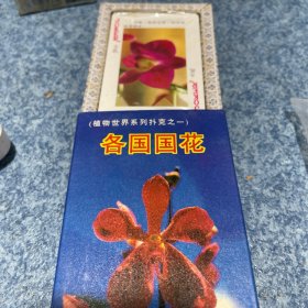 各国国花扑克