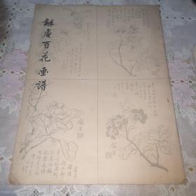 龢庵百花画谱