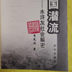 帝国潜流：水浒灰社会解密