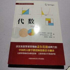 代数（盖尔范德中学生数学思维丛书）