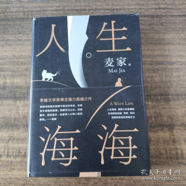 麦家：人生海海（茅盾文学奖得主麦家2019年强力之作）