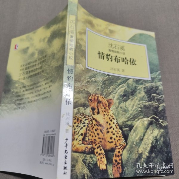 情豹布哈依：沈石溪激情动物小说