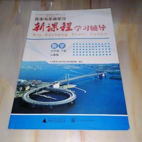 自主与互动学习新课程学习辅导 数学九年级下册（人教版）【单本】