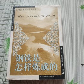 钢铁是怎样炼成的