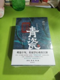 新青瓷（上下册，暌违十年，名家浮石携《新青瓷》来了！一本书讲透官场关系、政商关系、男女关系那些事儿。）