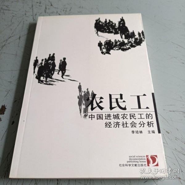 农民工中国进城农民工的经济社会分析