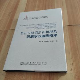 长江口航道淤积机理及近底水沙监测技术