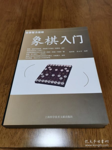 正版 象棋入门